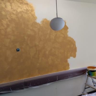 Dekorativní stěrky