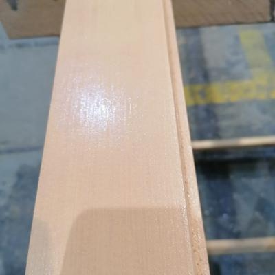 Nátěry - zámek Bezděkov